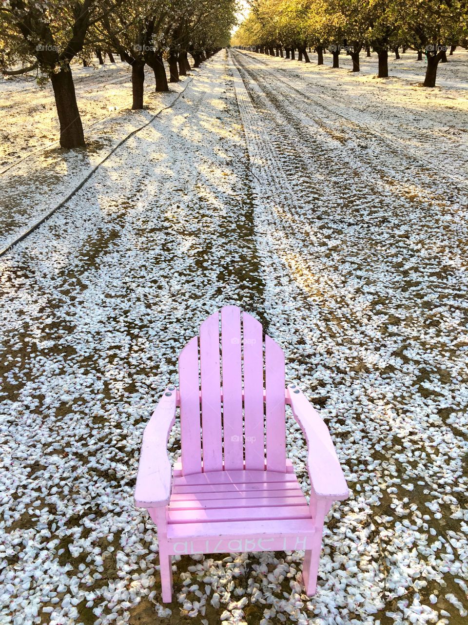 pink chair