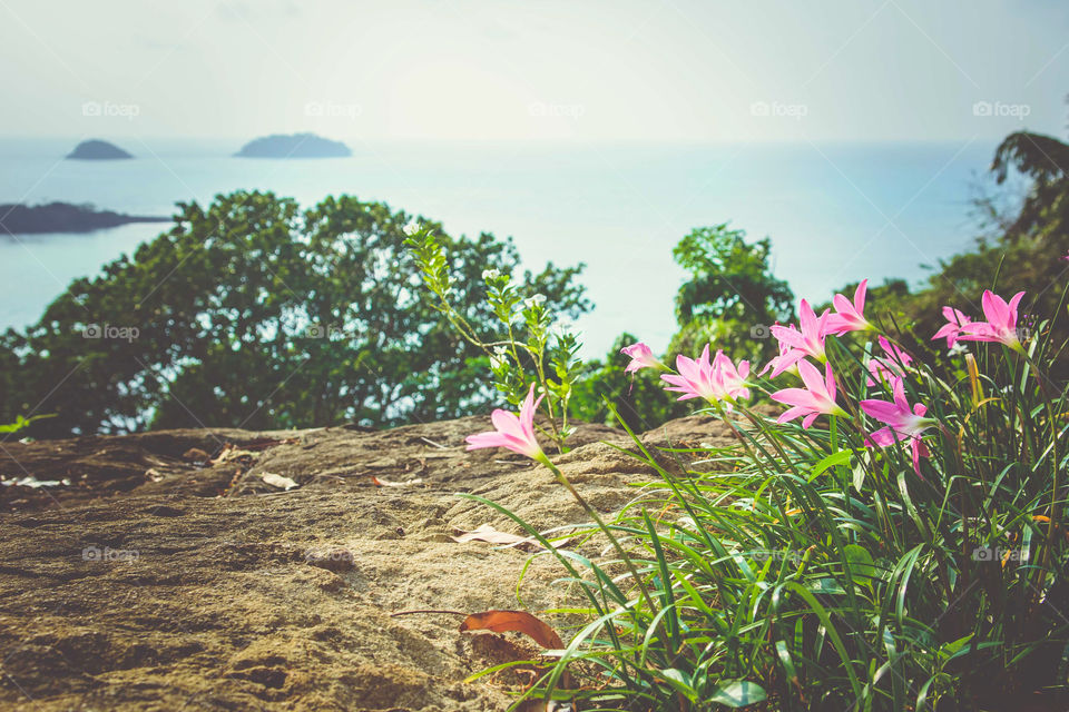 Scenic view of landscape