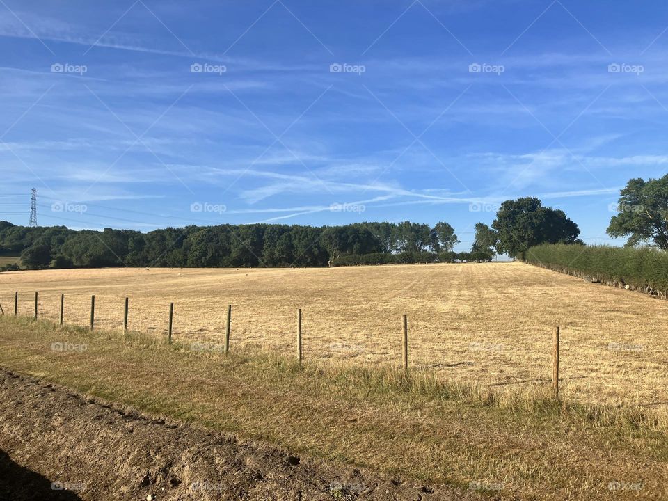 Beautiful English countryside on a hot Summer morning. Gorgeous blue sky and endless fields - a day for exploring. 
