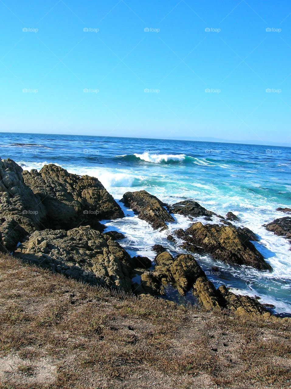 Picture perfect day at the beach.