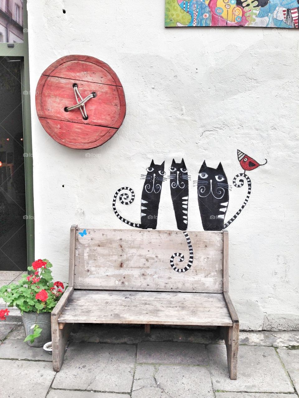 cat bench and wall button