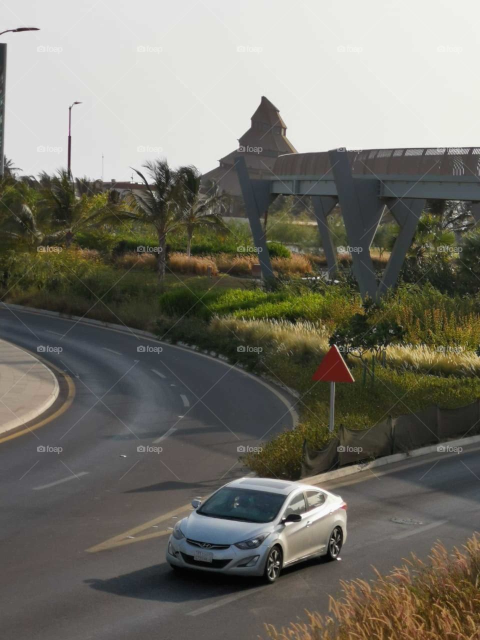 Capturing Peace After Lockdown