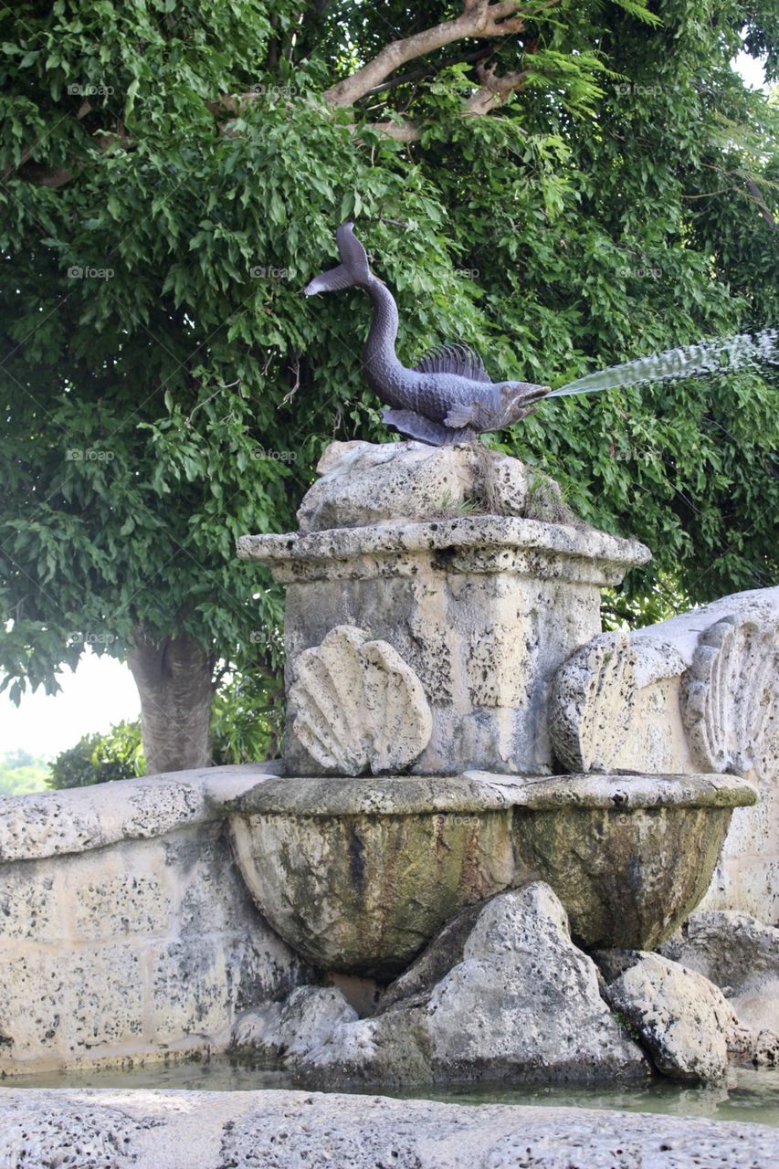 Water fountain 