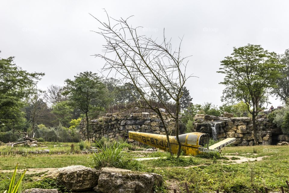 Hyena report in pairi daiza the zoo