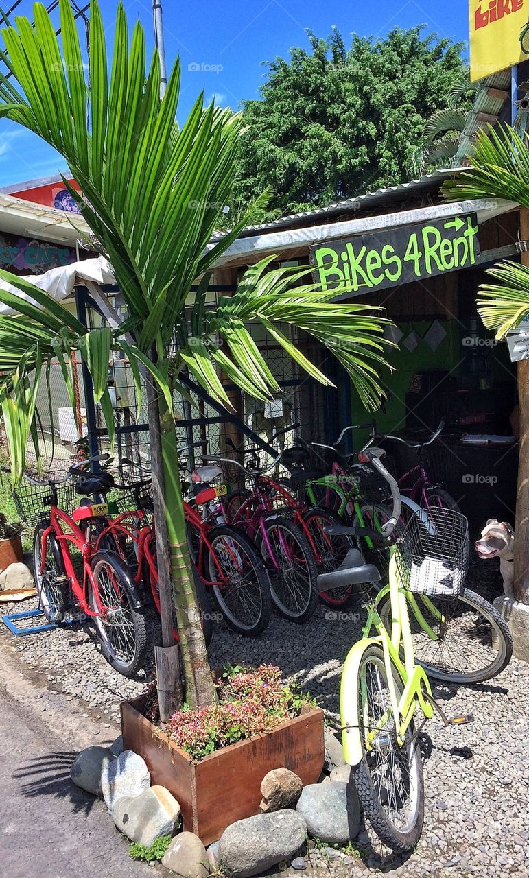 Bike rental place