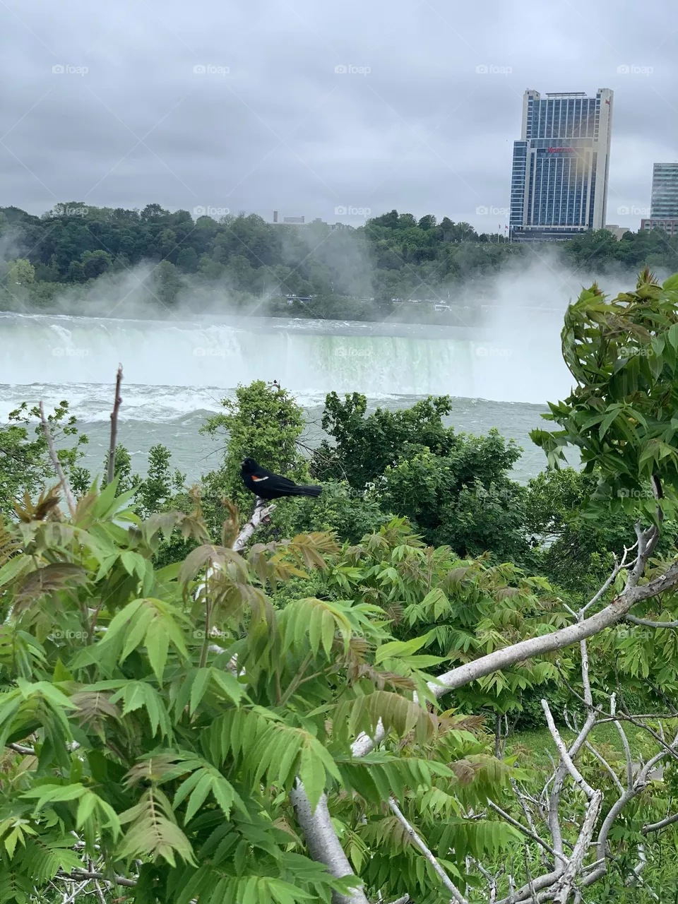 Niagara falls