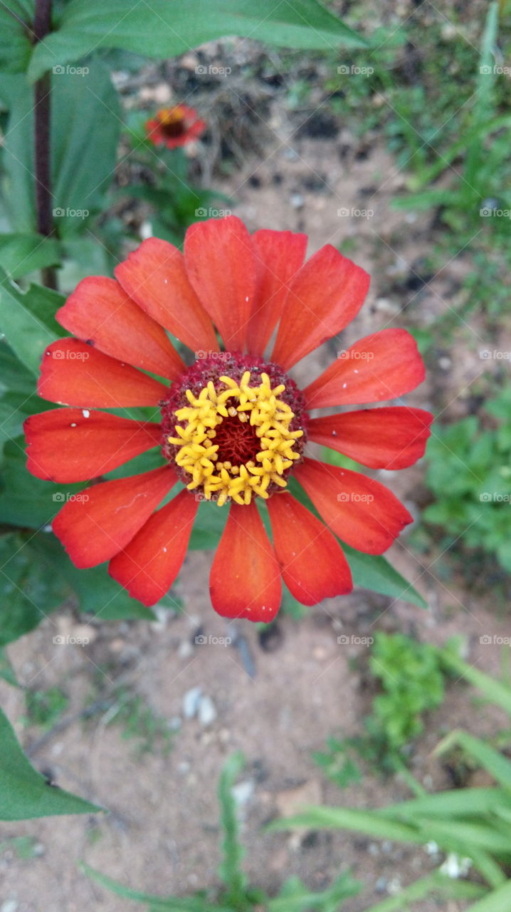 Verão em Minas gerais