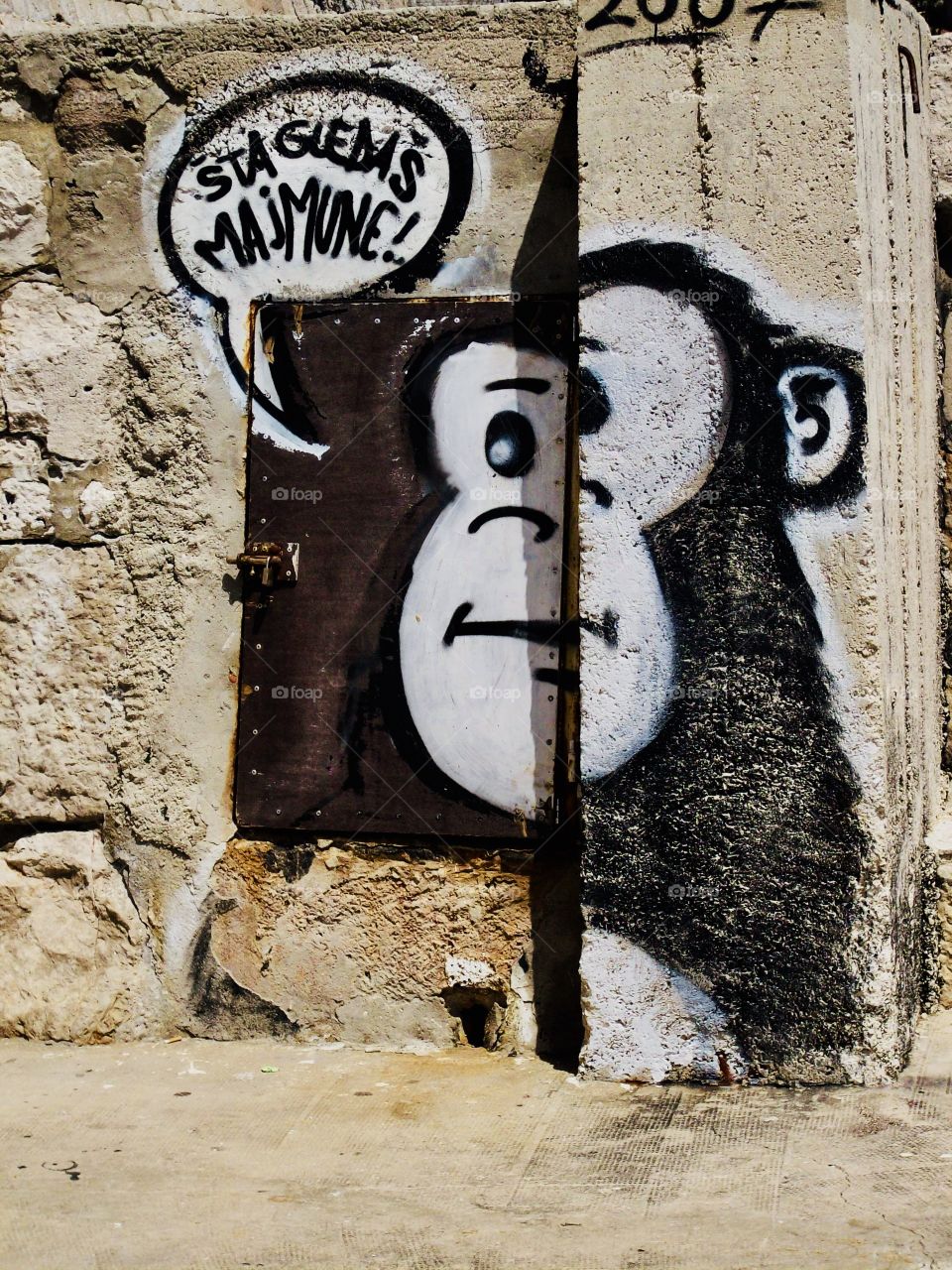 A monkey grafitti on a stony wall
