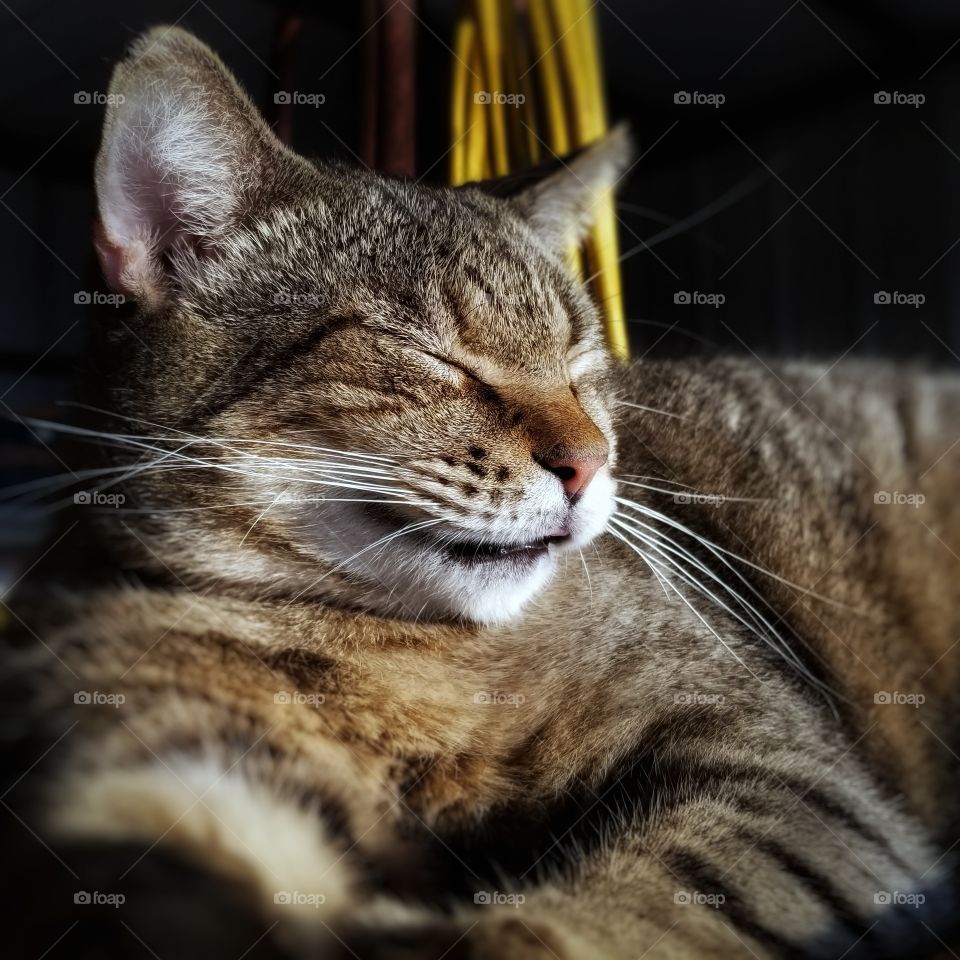 The Sun Gets in My Eyes