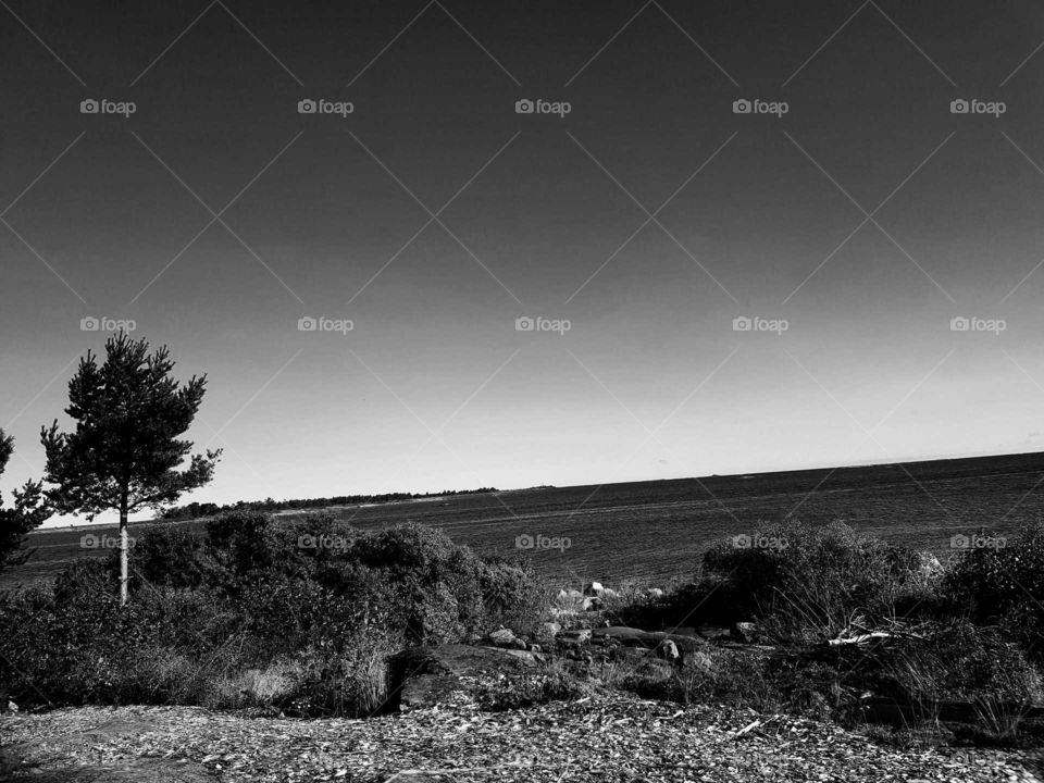 black and White wiew