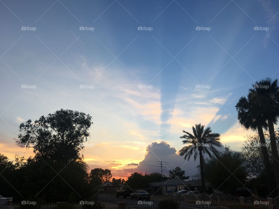 LA Sunsets ⛅️