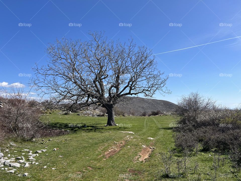 Spring is coming slowly