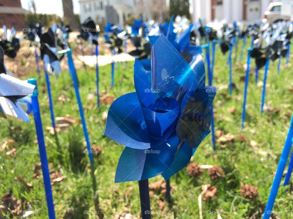 Pinwheels on the grass