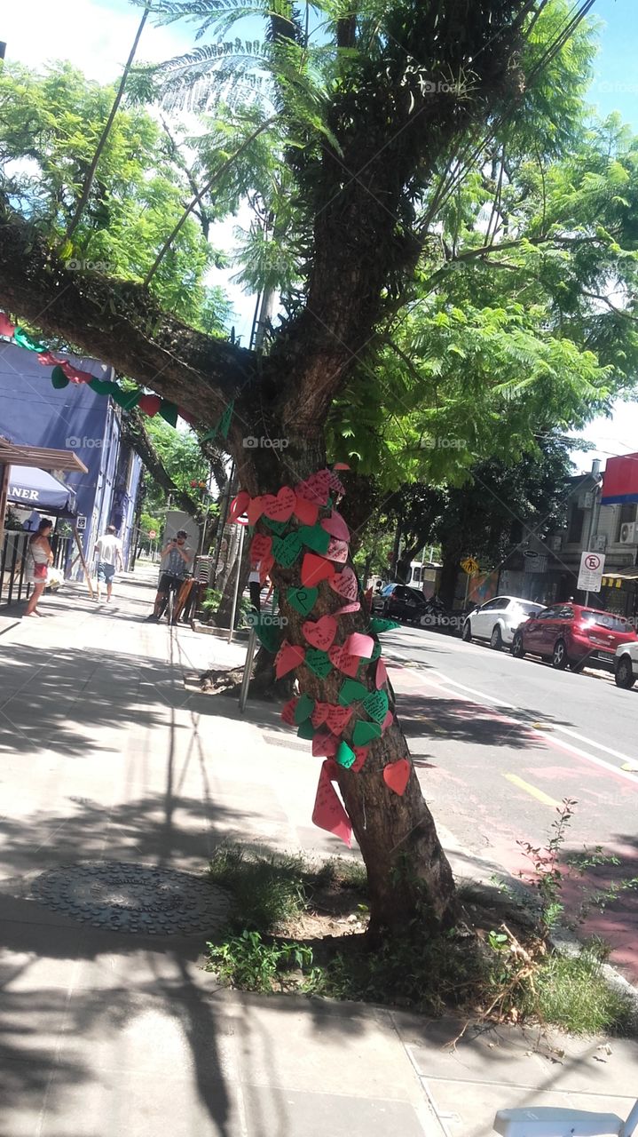 árvore urbana enfeitada com vários corações  Porto Alegre rs