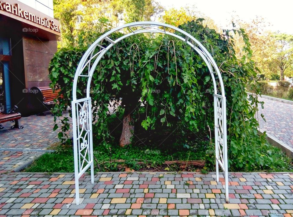 arch by the restaurant арка у ресторана