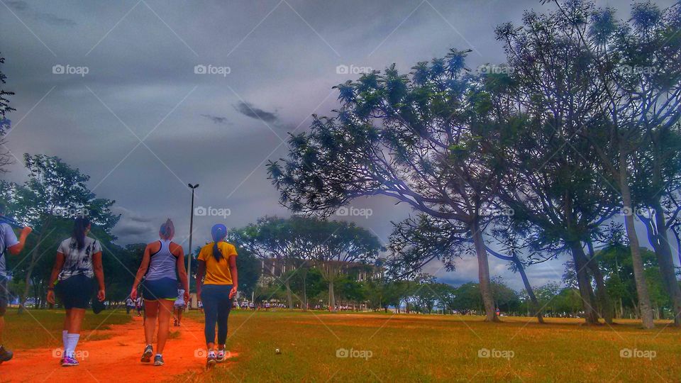 caminhada verde natureza