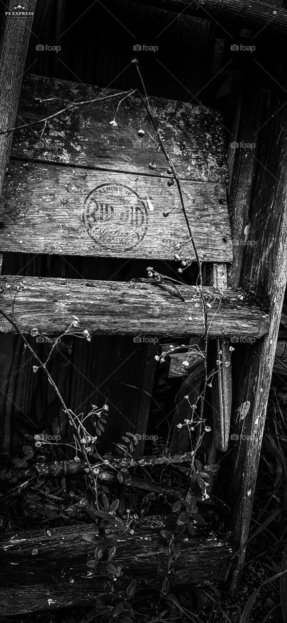 b/w old wooden stepladder