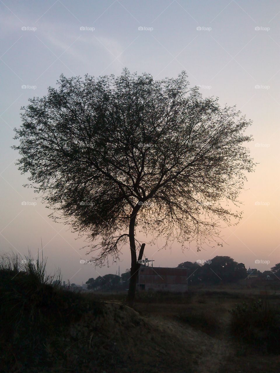 Nature is blushing☺️