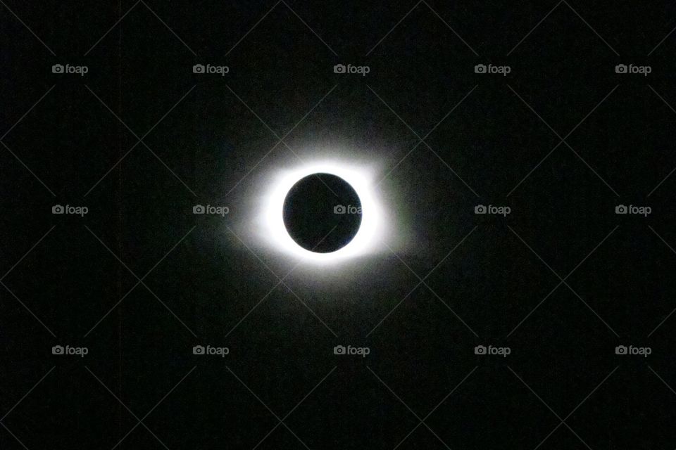 Eclipse Totality 2017 North Carolina