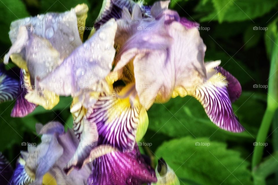 Does it get any better