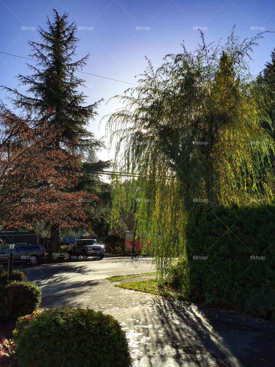 Beautiful crisp fall day in Vancouver, British Columbia 