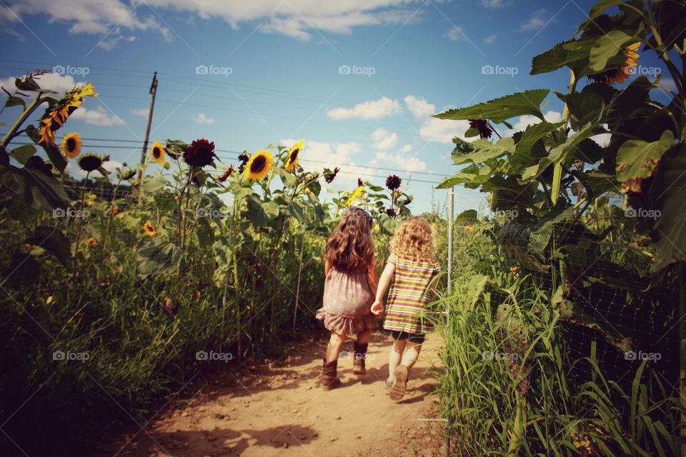 Two girls walking on dirt track in sunflower field