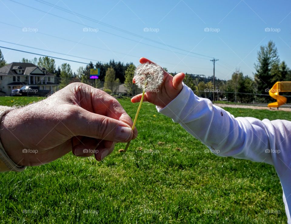 Grandpa showing granddaughter how to make wishes.