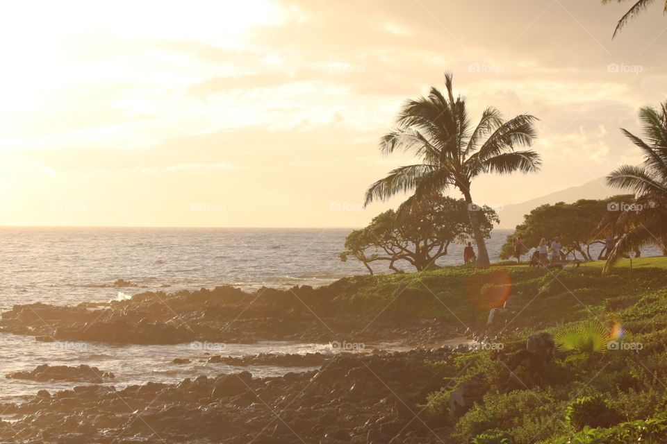 Seashore with Lens Flare