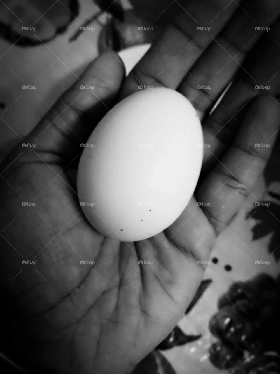 Egg