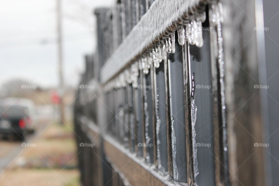 Icy metal fence