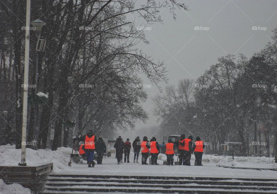 snow removal in the park