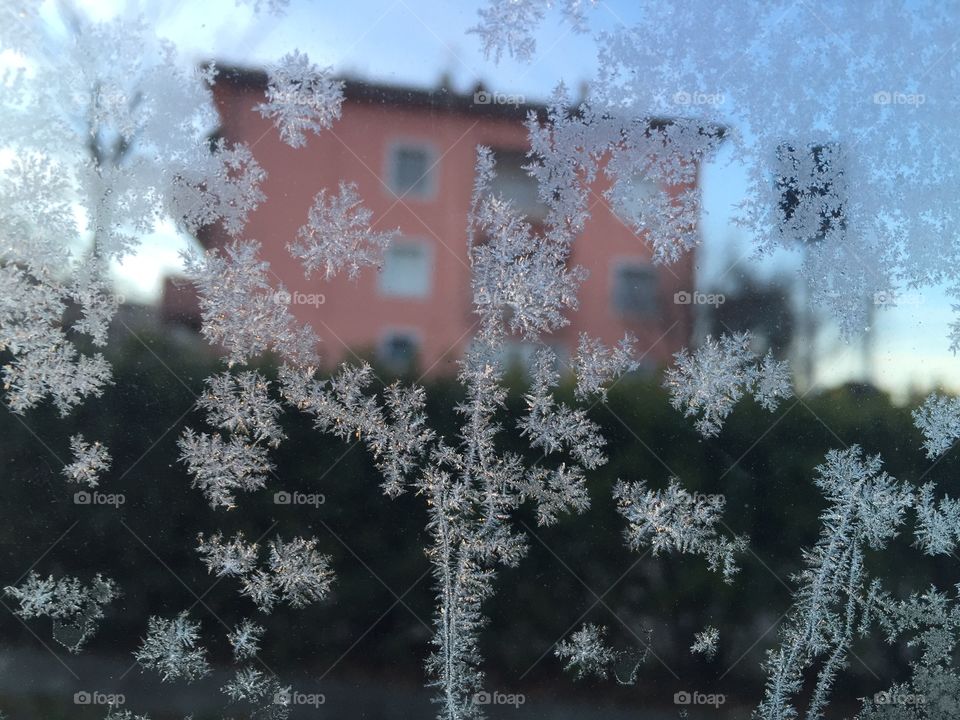 Ice crystals shaped asterisk on the glass of my car 