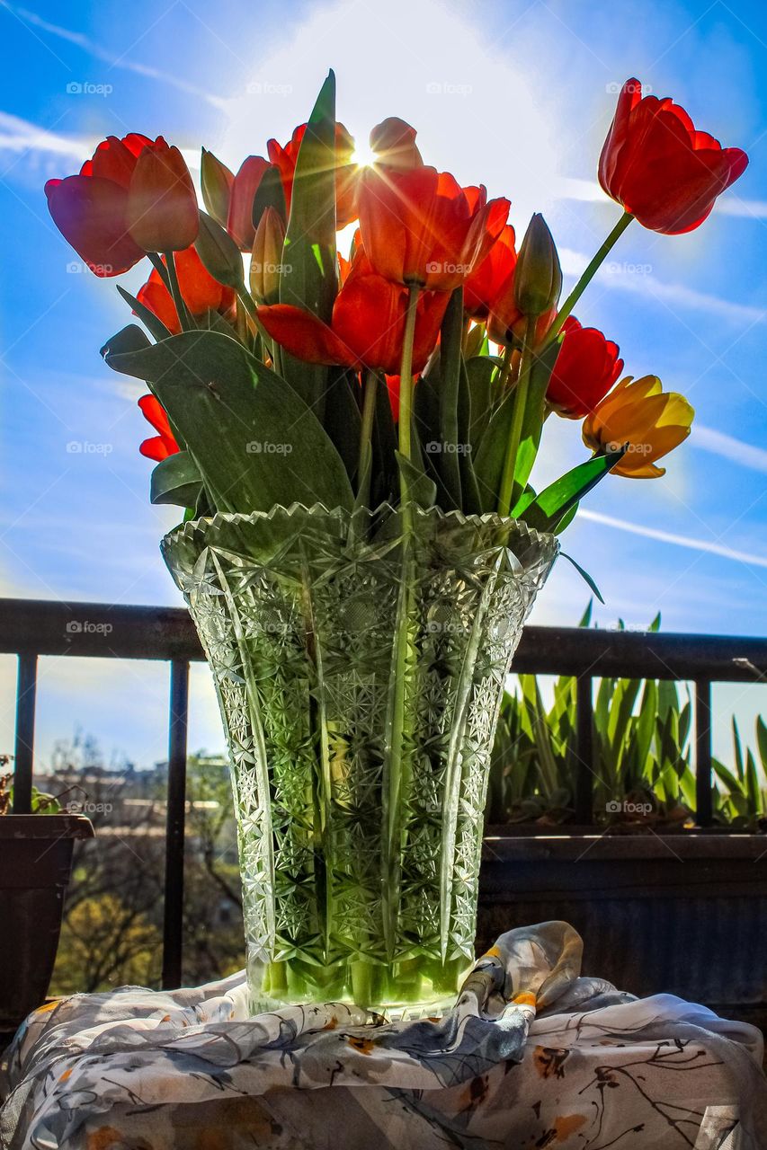 Bouquet of tulip 🌷