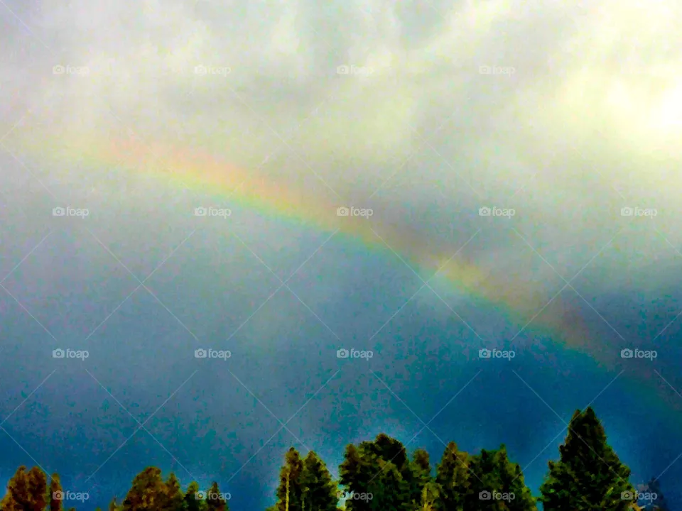 Rainbow