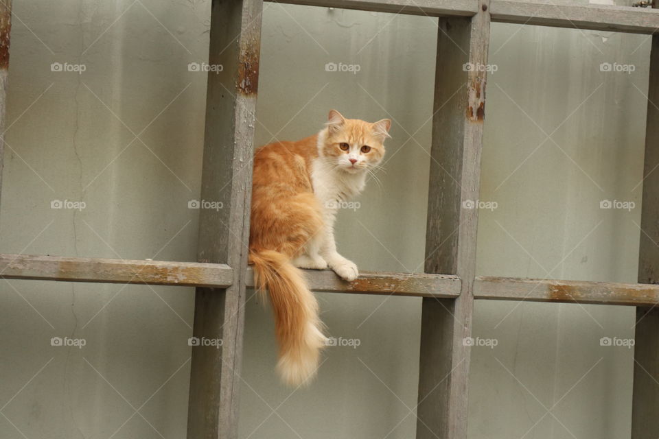 just waiting for hunting