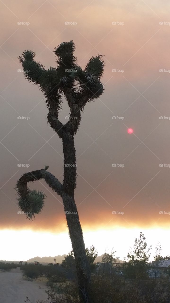 Pilot fire smoke view from Apple Valley