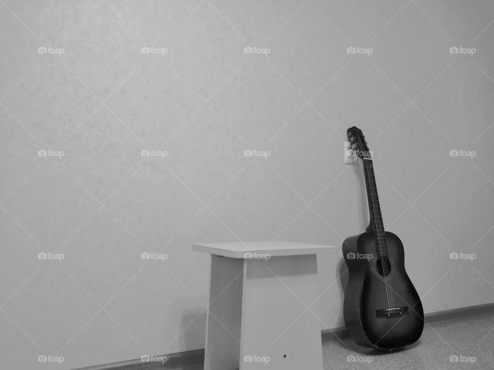 Guitar