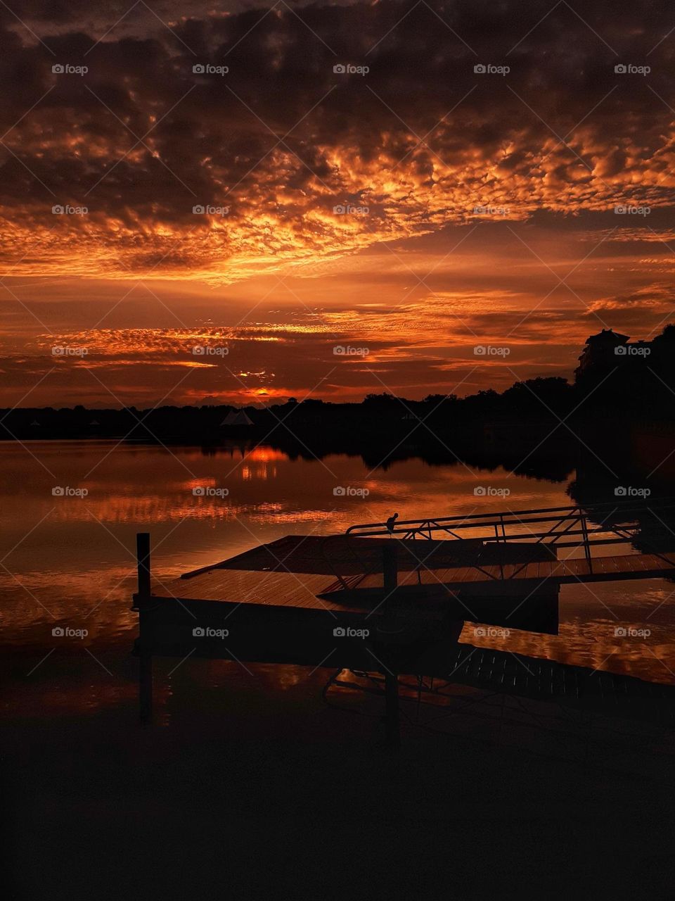 A sunrise over the lake and dock at Cranes Roost Park. I took the photo from one of two bridges at the park.