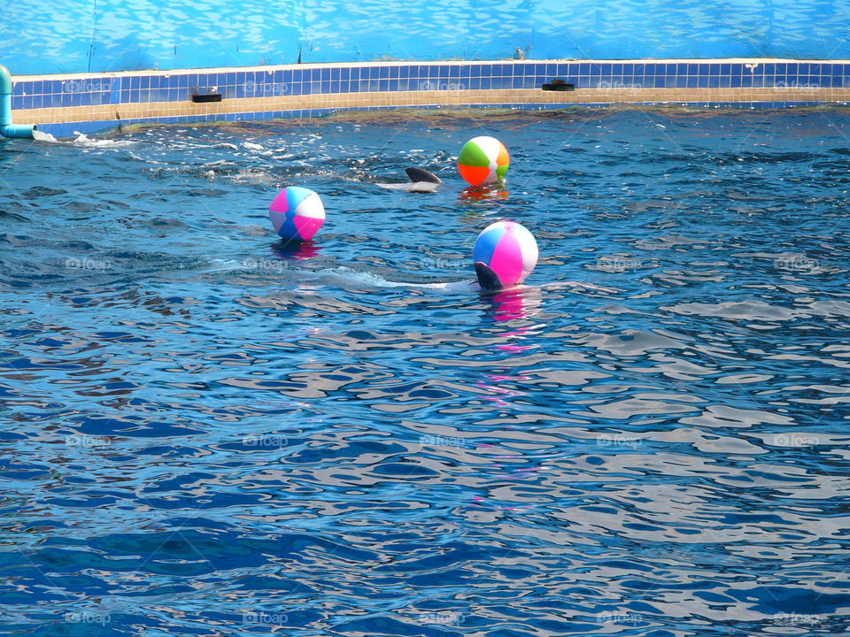 Water, Swimming, Summer, Sea, Travel