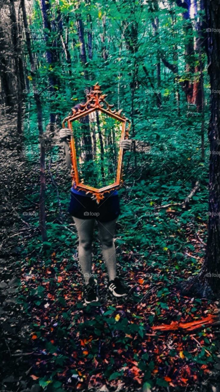 mirrored woods