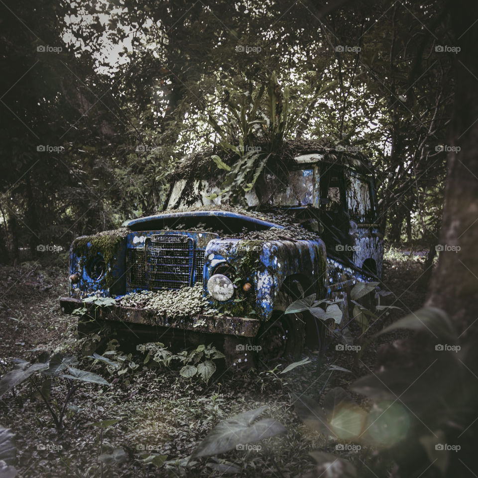 Old damaged car, Forrest, broken, damage, destroyed, used look, Jeep, Oldtimer 