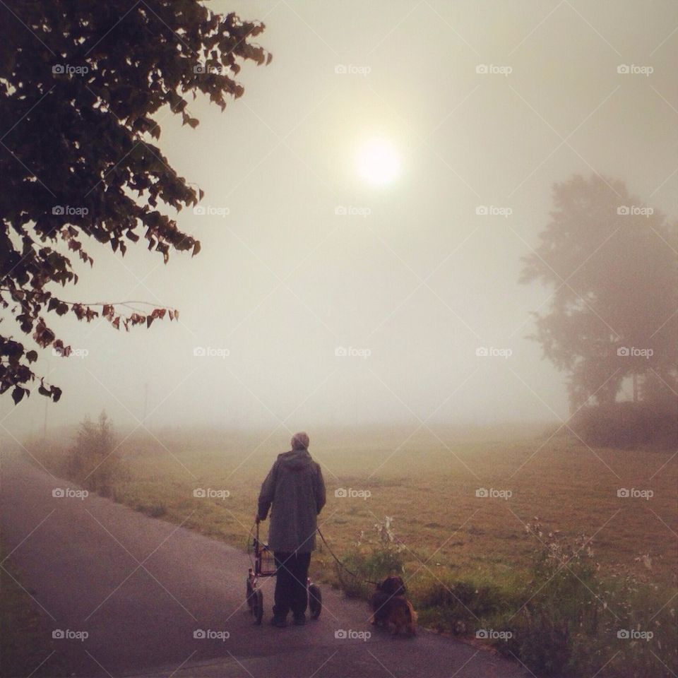 Early morning walk