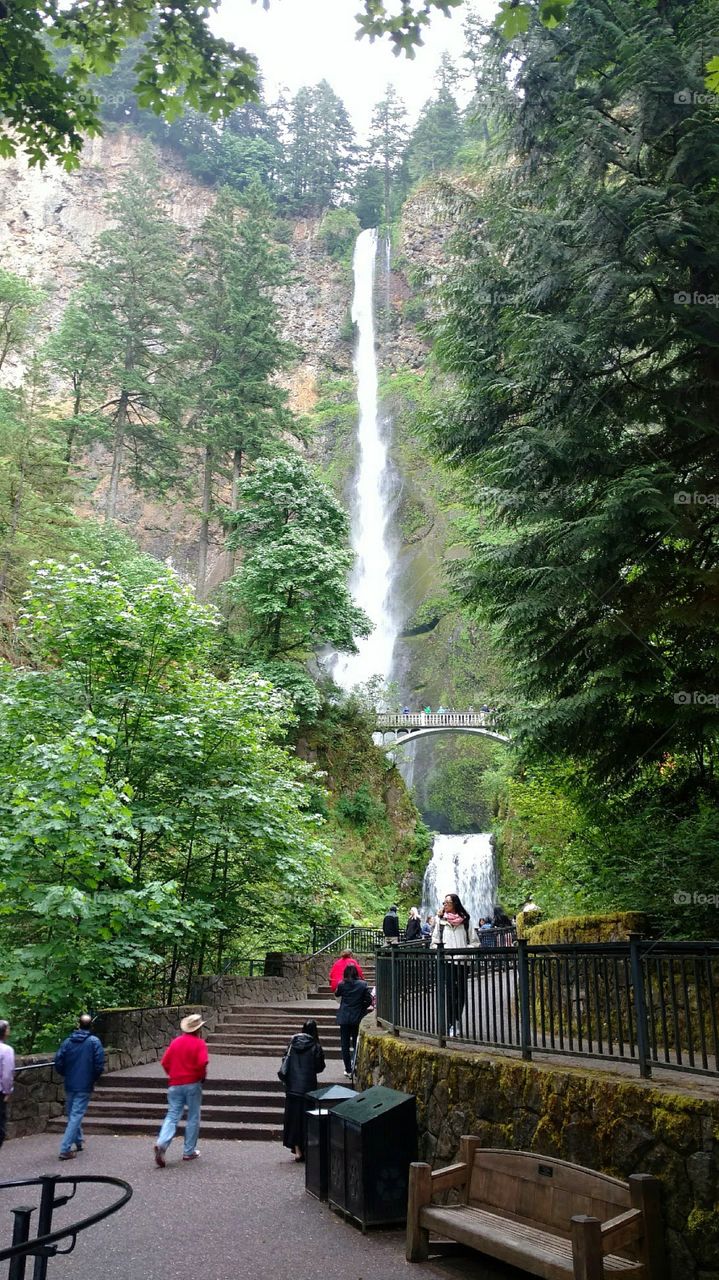 Multnomah Falls