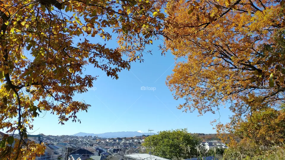 City view 