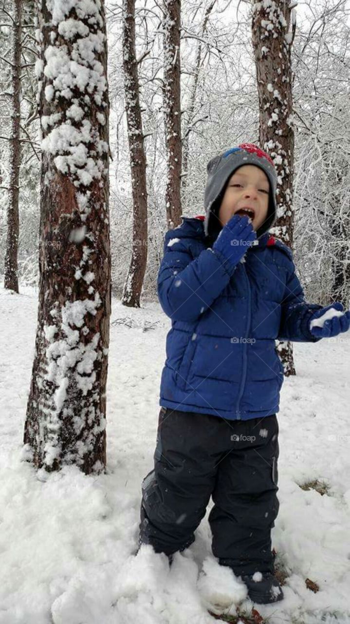 Don't Eat Yellow Snow!