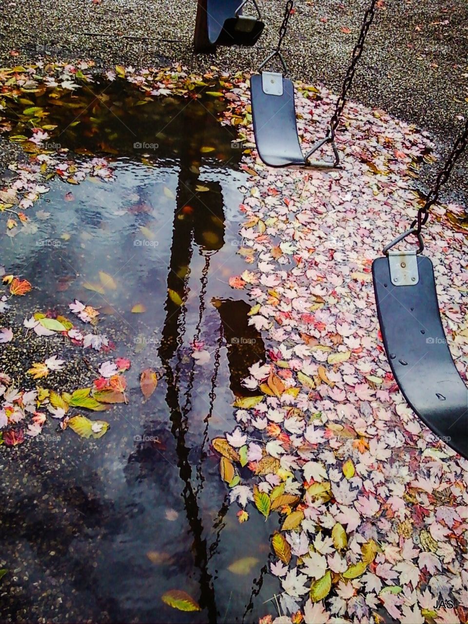 Autumn Puddle 