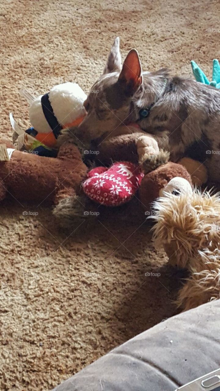 nap time with friends