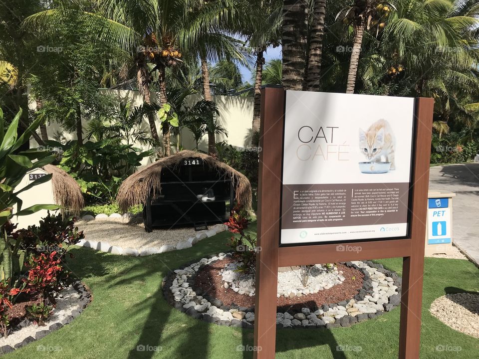 Cat huts Cancun 