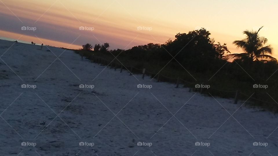 SANIBEL -SEASHELL CAPITAL OF THE U.S.-