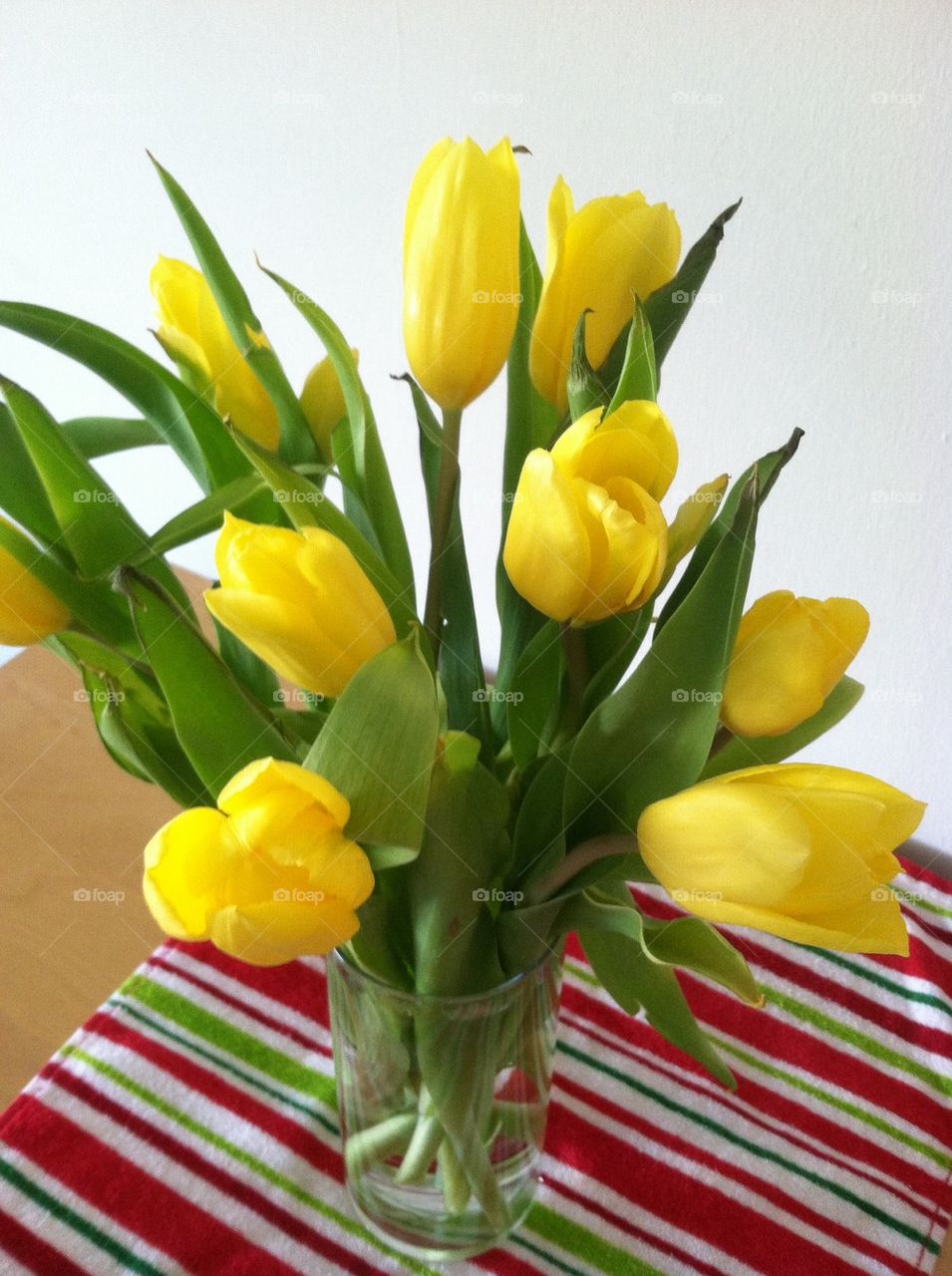 Yellow tulips 